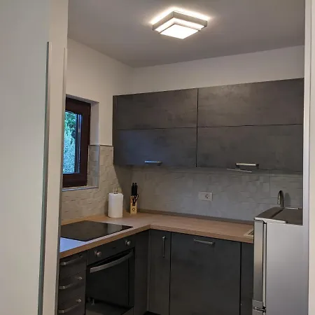 Ika Apartment *